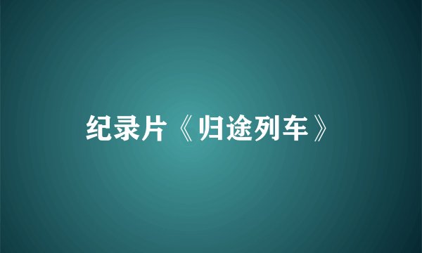 纪录片《归途列车》