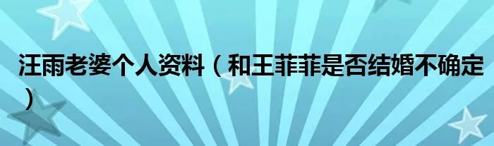 汪雨老婆个人资料(和王菲菲是否结婚不确定)