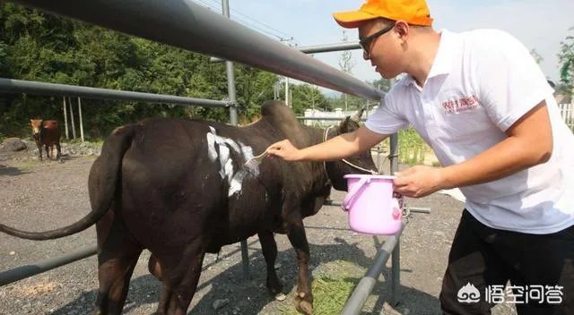 你认为中央电视台的《致富经》能让人致富吗?