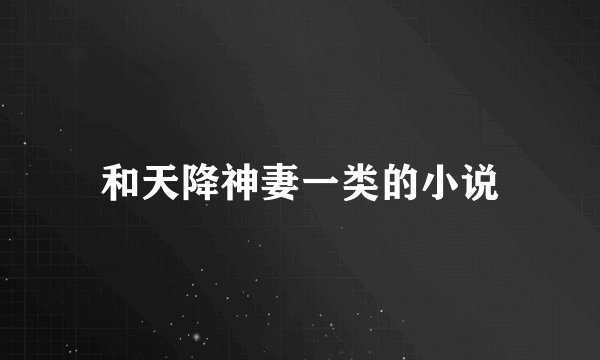 和天降神妻一类的小说