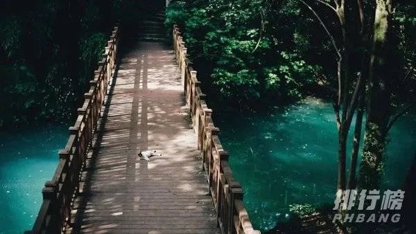 中国最美的十所大学排名_全国最美大学排名最新