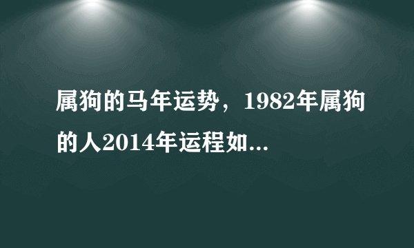 属狗的马年运势,1982年属狗的人2014年运程如何?82年狗年出生在