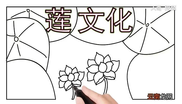 莲文化的魅力手抄报 莲文化的魅力画报