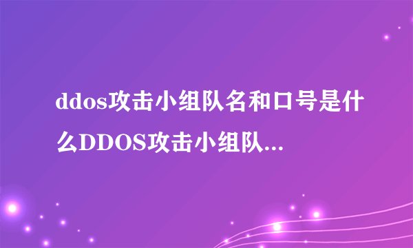 ddos攻击小组队名和口号是什么DDOS攻击小组队名和口号