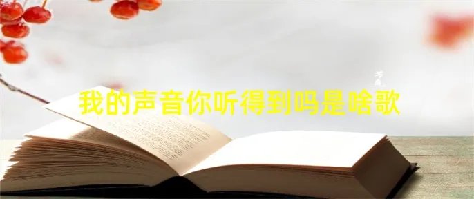 我的声音你听得到吗是啥歌