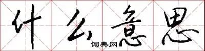 什么意思