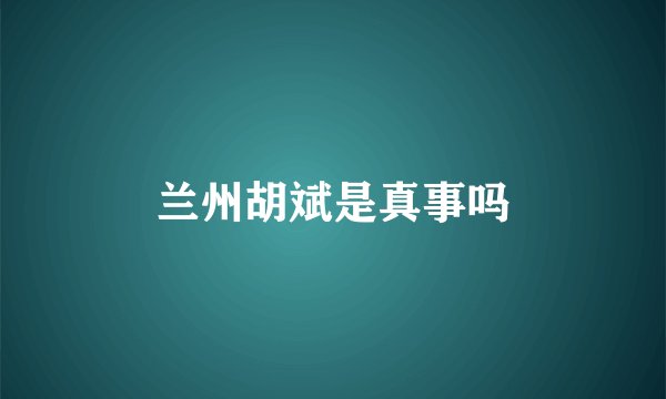 兰州胡斌是真事吗