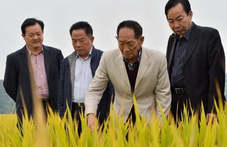 “国之脊梁”袁隆平院士逝世,集体呼吁降半旗悼念,你对此怎么看呢?