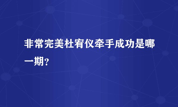 非常完美杜宥仪牵手成功是哪一期？