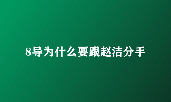 8导为什么要跟赵洁分手
