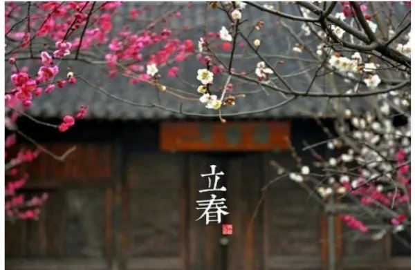 2019年打春时间