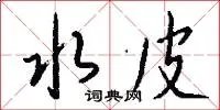 水皮