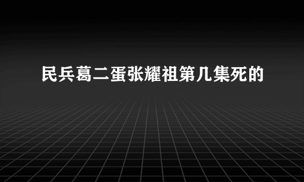 民兵葛二蛋张耀祖第几集死的