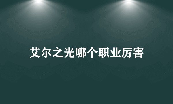 艾尔之光哪个职业厉害