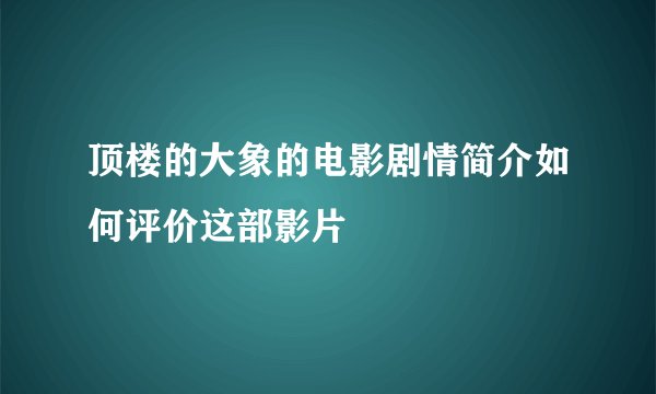 顶楼的大象的电影剧情简介如何评价这部影片