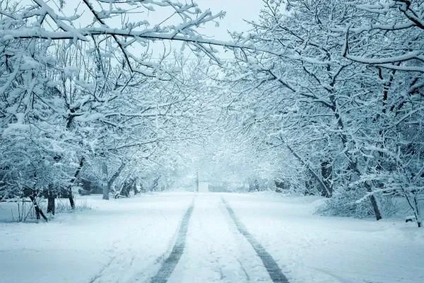 黑龙江漠河5月飞雪,你知道是受了什么影响吗?