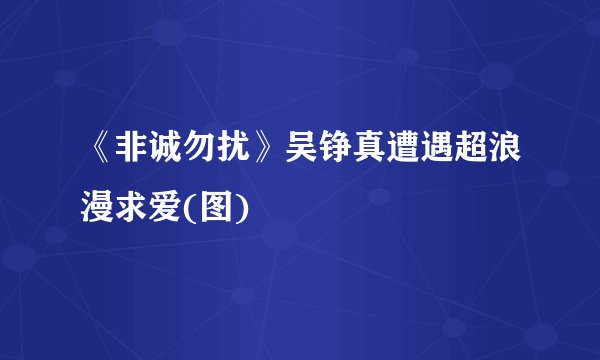 《非诚勿扰》吴铮真遭遇超浪漫求爱(图)