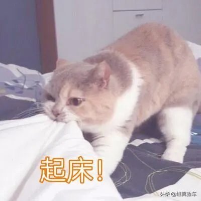 哪些二手车交易平台比较靠谱？你网上买车的经验可以分享一下吗？