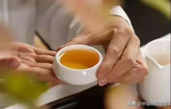茶杯分类?