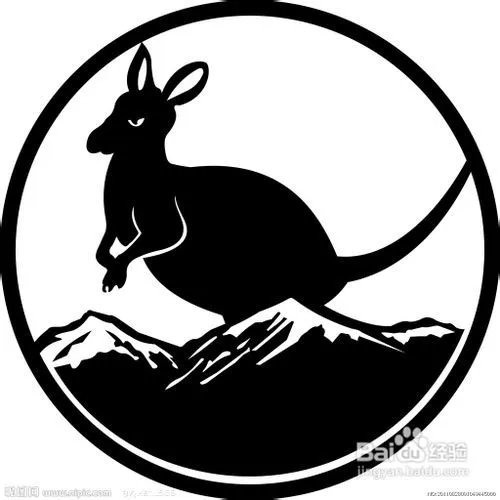 为何要买原装进口袋鼠精,原装进口袋鼠精好在哪
