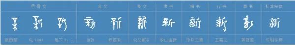 新的组词有哪些