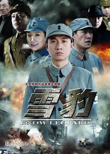 电视剧雪豹剧情简介