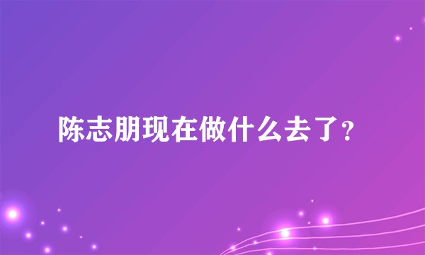陈志朋现在做什么去了？