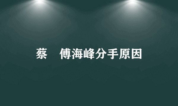 蔡赟傅海峰分手原因
