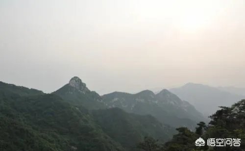 沂蒙老区指哪里?