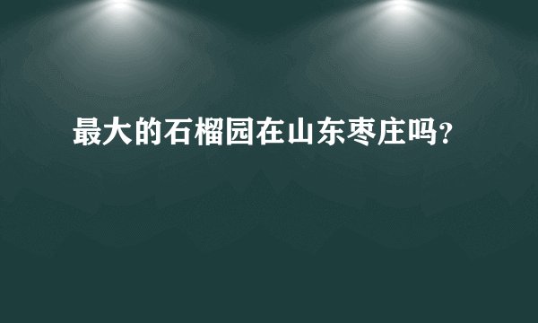 最大的石榴园在山东枣庄吗？