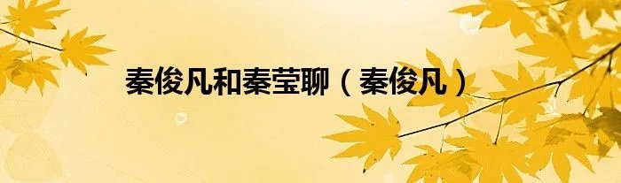 秦俊凡和秦莹聊（秦俊凡）