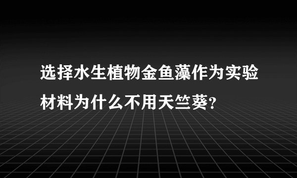 选择水生植物金鱼藻作为实验材料为什么不用天竺葵？