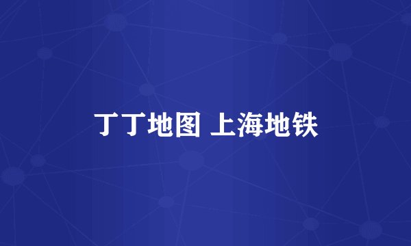 丁丁地图 上海地铁
