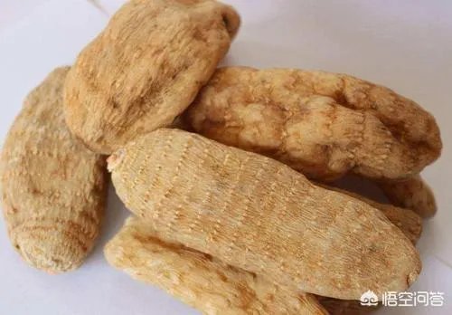 人工栽培天麻有哪些技术要求?人工的有哪些特点?