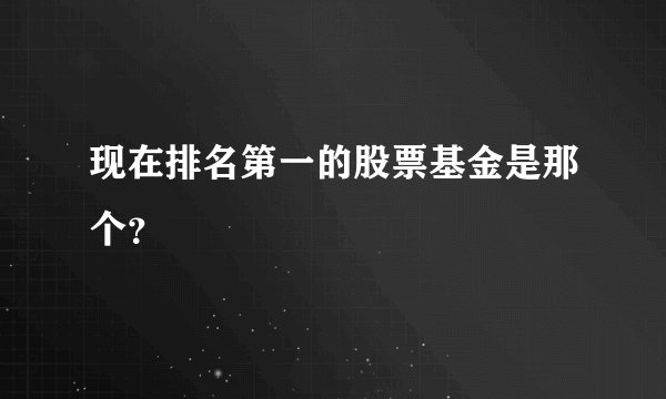 现在排名第一的股票基金是那个？