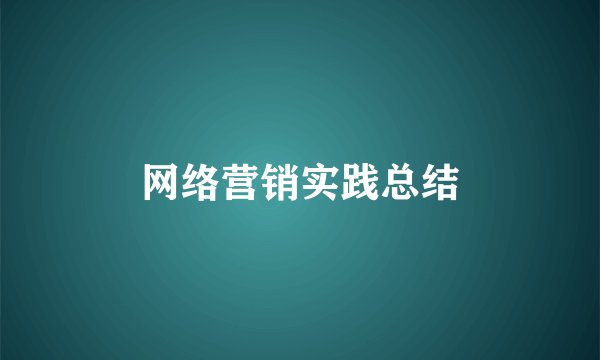 网络营销实践总结