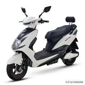 绿佳跟绿驹