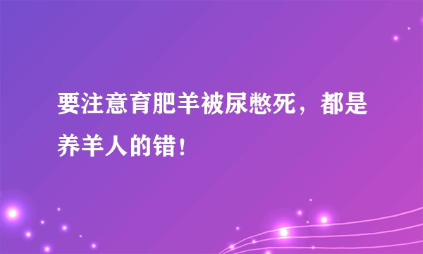 要注意育肥羊被尿憋死，都是养羊人的错！