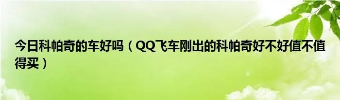 今日科帕奇的车好吗（QQ飞车刚出的科帕奇好不好值不值得买）