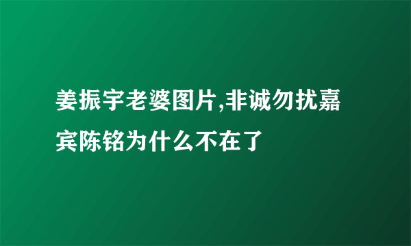 姜振宇老婆图片,非诚勿扰嘉宾陈铭为什么不在了