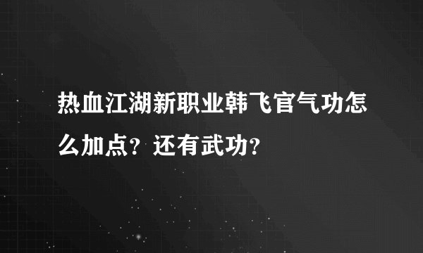 热血江湖新职业韩飞官气功怎么加点？还有武功？