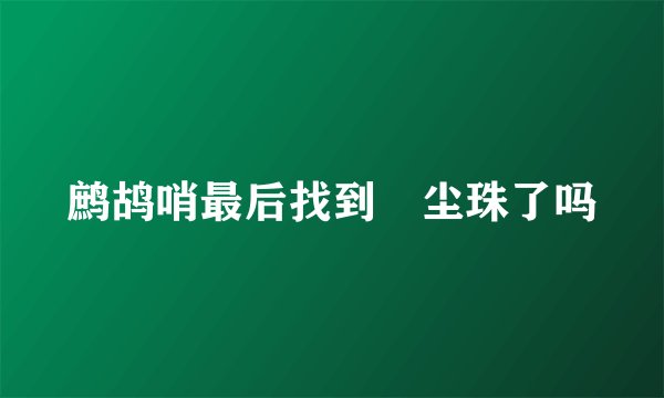 鹧鸪哨最后找到雮尘珠了吗