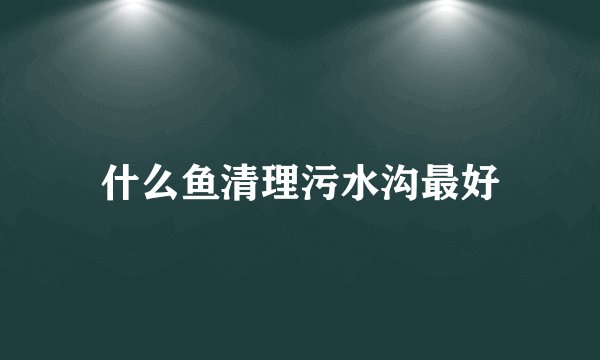 什么鱼清理污水沟最好