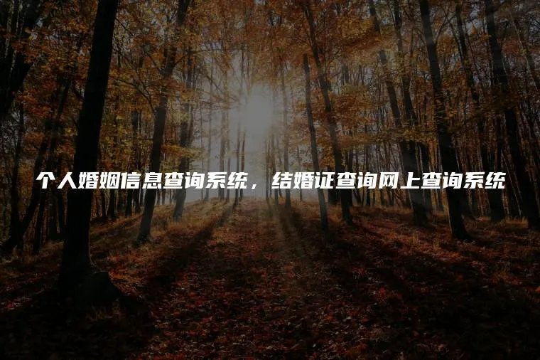个人婚姻信息查询系统，结婚证查询网上查询系统