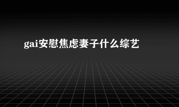 gai安慰焦虑妻子什么综艺