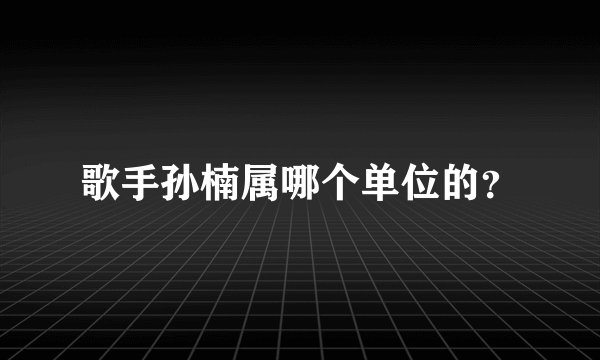 歌手孙楠属哪个单位的?