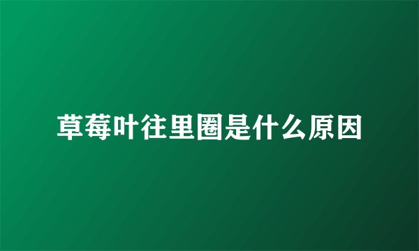 草莓叶往里圈是什么原因