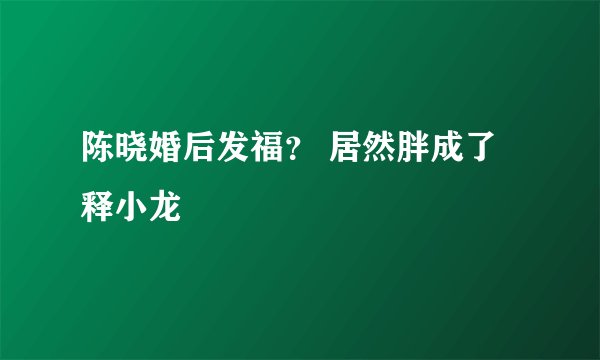 陈晓婚后发福？ 居然胖成了释小龙