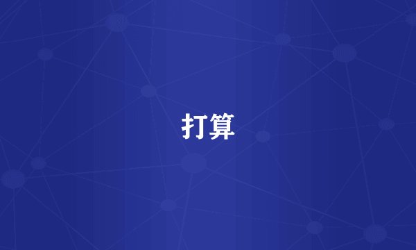 打算