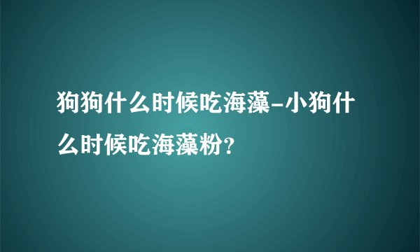 狗狗什么时候吃海藻-小狗什么时候吃海藻粉?
